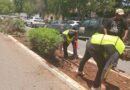 El Ayuntamiento moderniza el sistema de riego en Paseo de Montejo
