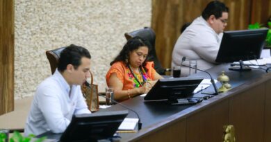  Se aprueba por unanimidad la ley de bienestar energético de Yucatán