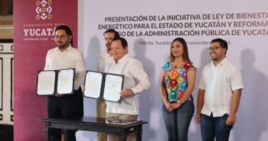 Anuncia Díaz Mena creación de Agencia de Energía