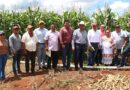 Se consolida la producción de soya huasteca en Tekax