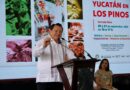 Yucatán lleva su cultura, gastronomía y tradición a Los Pinos