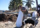 Organizaciones civiles y autoridades se unen para proteger la costa yucateca