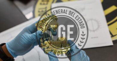 Más de seis años en prisión por golpear a su progenitora