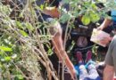 MUJER SOBREVIVE A APARATOSA VOLCADURA 