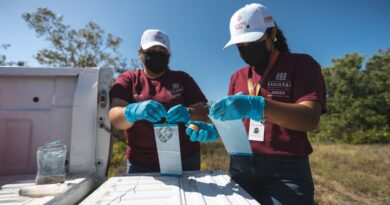 Avanza la sanidad animal en Yucatán 