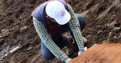 Gobierno del Estado no baja la guardia ante el gusano barrenador