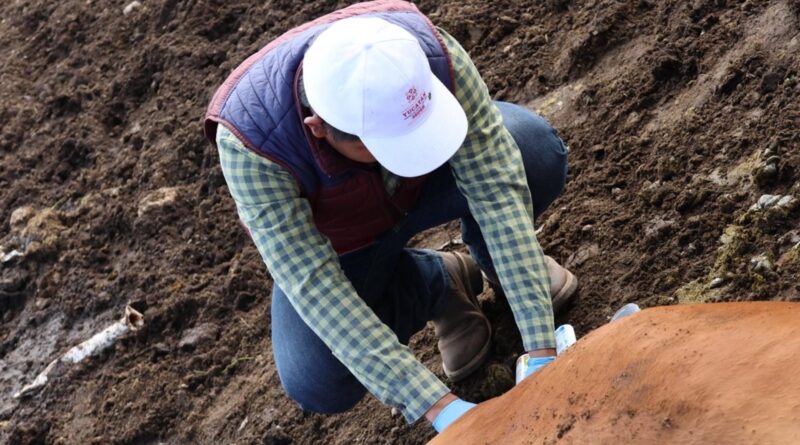 Gobierno del Estado no baja la guardia ante el gusano barrenador