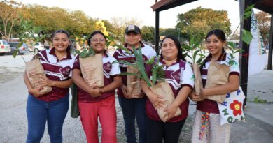 Promueven reforestación en Dzityá como parte de la estrategia Renacimiento Verde