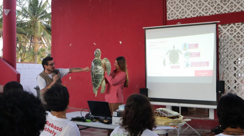 SDS prepara a voluntariado para temporada de tortugas marinas