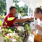 Regresa Mercado al Parque La Plancha