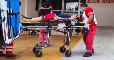 DOS HERIDOS AL EVITAR A UN COCHINO 