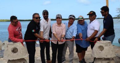 Primer arrecife artificial en Río Lagartos