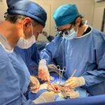 Día Mundial del Trasplante de Órganos y Tejidos