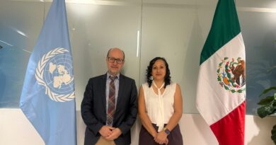 Yucatán presenta a la ONU avances ambientales