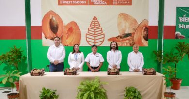 Yucatán concreta primer envío de mamey al Reino Unido