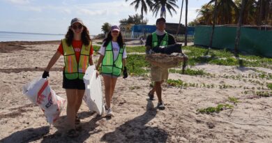 Sanean siete kilómetros de costa en San Crisanto 