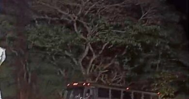 CATEO SORPRESA EN EL CERESO DE TEKAX