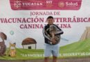 Primera Semana Nacional de Vacunación Antirrábica Canina y Felina