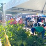 Impulsan biodiversidad con 5 mil plantas en Hunucmá 