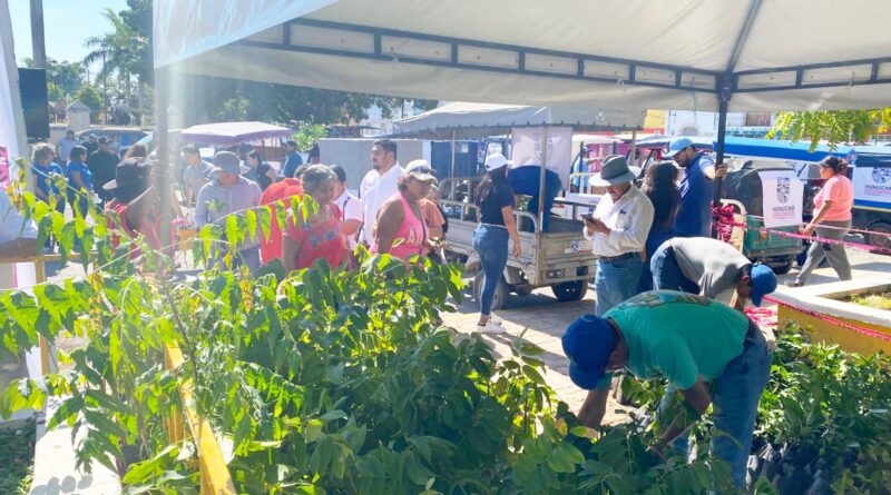 Impulsan biodiversidad con 5 mil plantas en Hunucmá 