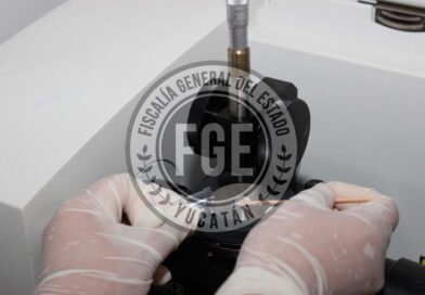 A proceso por posesión de cannabis y metanfetaminas