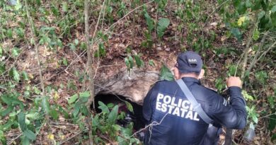 BUSCAN A JOVEN EXTRAVIADO EN OXKUTZCAB