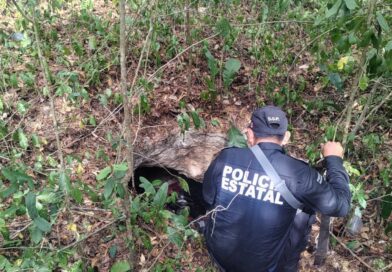 BUSCAN A JOVEN EXTRAVIADO EN OXKUTZCAB