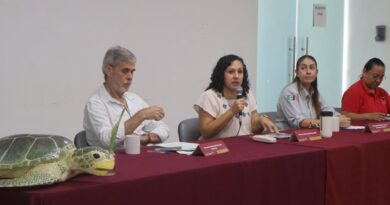 Inicia temporada de anidación de tortugas marinas 