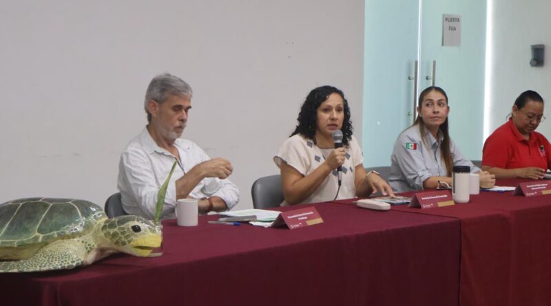 Inicia temporada de anidación de tortugas marinas 