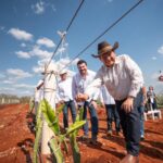 Yucatán, referente nacional en producción de pitahaya
