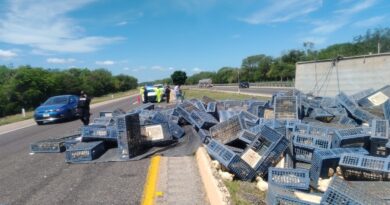 VUELCA TRÁILER CARGADO CON GALLINAS 