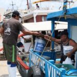 Inicia pesca de mero con llamado responsable 