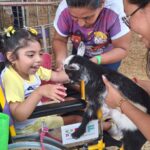 Personas con discapacidad disfrutan experiencia en Ponylandia