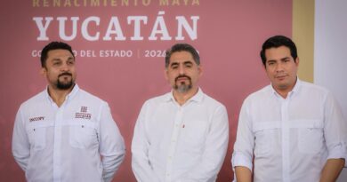 SSY integra Hospital Corea-México al sistema federal 