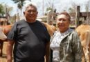 Renace la ganadería de Yucatán con el rescate de vientres