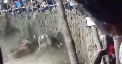MENOR GRAVE TRAS SER CORNEADO EN OXHOLON