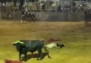 IMPRUDENCIA EN EL RUEDO DESATA MOMENTOS DE TENSIÓN EN MAXCANÚ