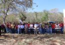 Reverdece la UTP con el programa “Renacimiento Verde en tu Escuela”