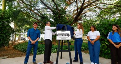 Avanza Cecilia Patrón en la protección de árboles al declararlos patrimonio de la ciudad