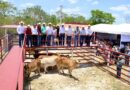 San Felipe fortalece su actividad pecuaria y recibe apoyo ante la sequía