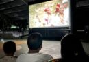 Proyectarán documental sobre flamencos en Mérida, Celestún y Sisal
