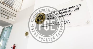 A prisión por crueldad animal