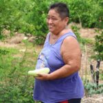 Sistema de riego con paneles solares mejora producción agrícola