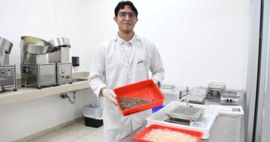 Yucatán destaca en estrategia nacional contra el dengue