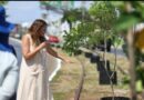 Se reubicarán árboles en Circuito Colonias