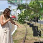 Se reubicarán árboles en Circuito Colonias