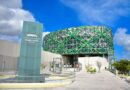 Analizarán derechos lingüísticos de los pueblos originarios