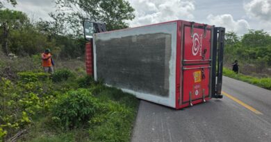 VOLCADURA DE CAMIÓN HELADERO EN LA KINCHIL–CELESTÚN