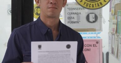 Ayuntamiento denuncia afectaciones a árboles en Circuito Colonias Oriente