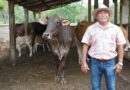 Programa Renacimiento Ganadero fortalece producción pecuaria en Yucatán